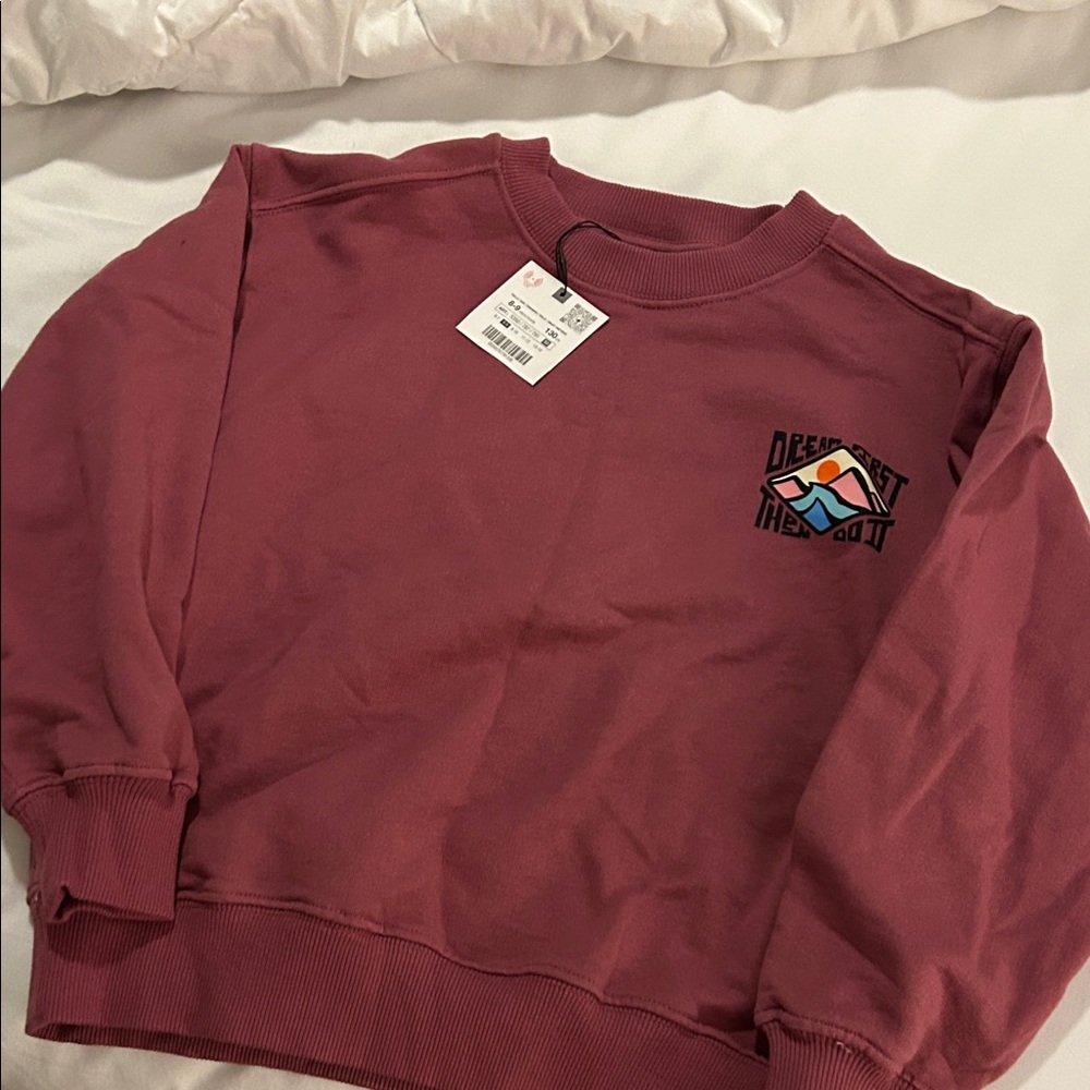 Boys Zara Burgundy Crewneck Sweater